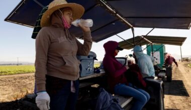 A California study has lessons for efforts to protect workers from excessive heat