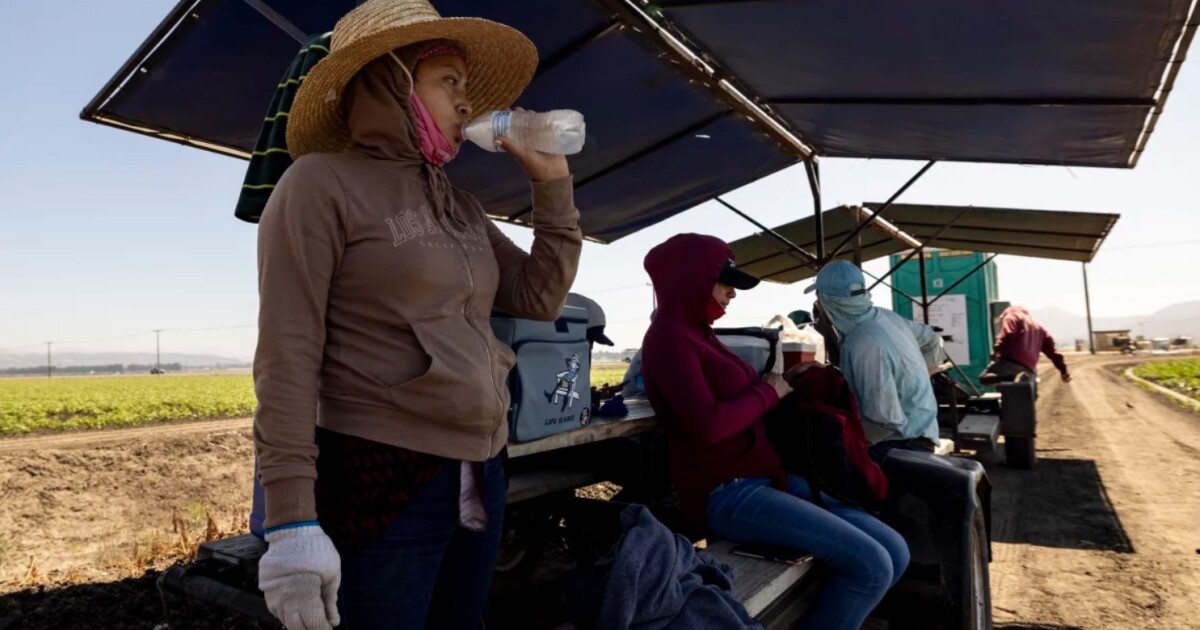 A California study has lessons for efforts to protect workers from excessive heat