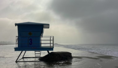 King tides to wash across Southern California. Here’s when the highest tides could arrive
