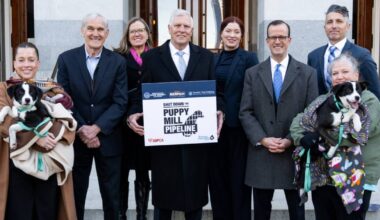 California cracks down on the puppy mill pipeline with new laws