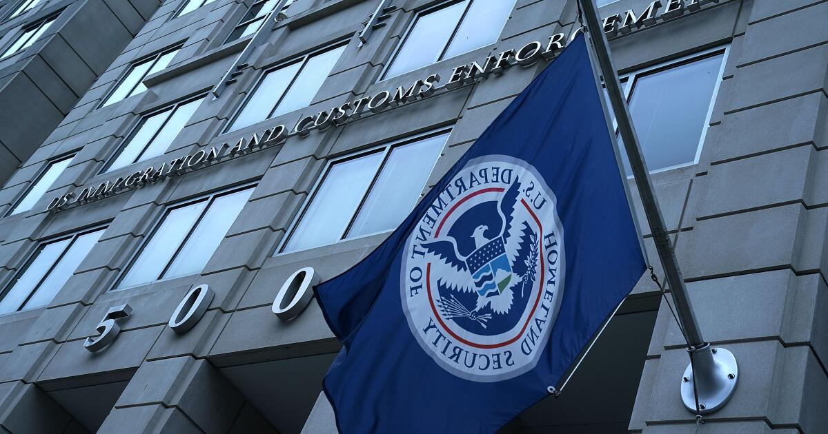 More than 100 detained in Central Coast holiday immigration raids