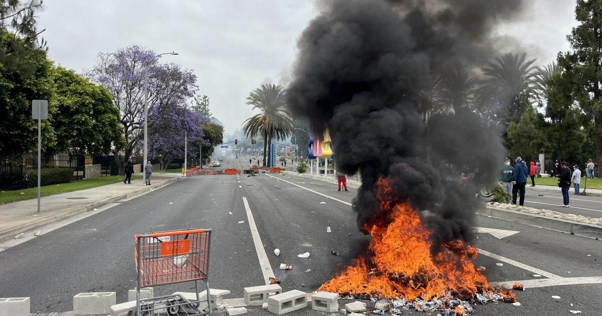 Man sentenced for throwing Molotov cocktail at deputies during protest against immigration raids