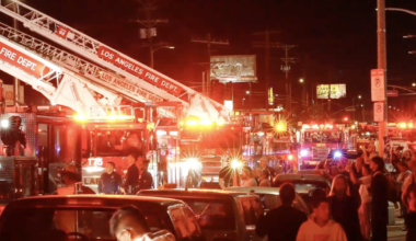 Dogs looking for 'human bone or tissue' get a hit near burned L.A. building, officials say