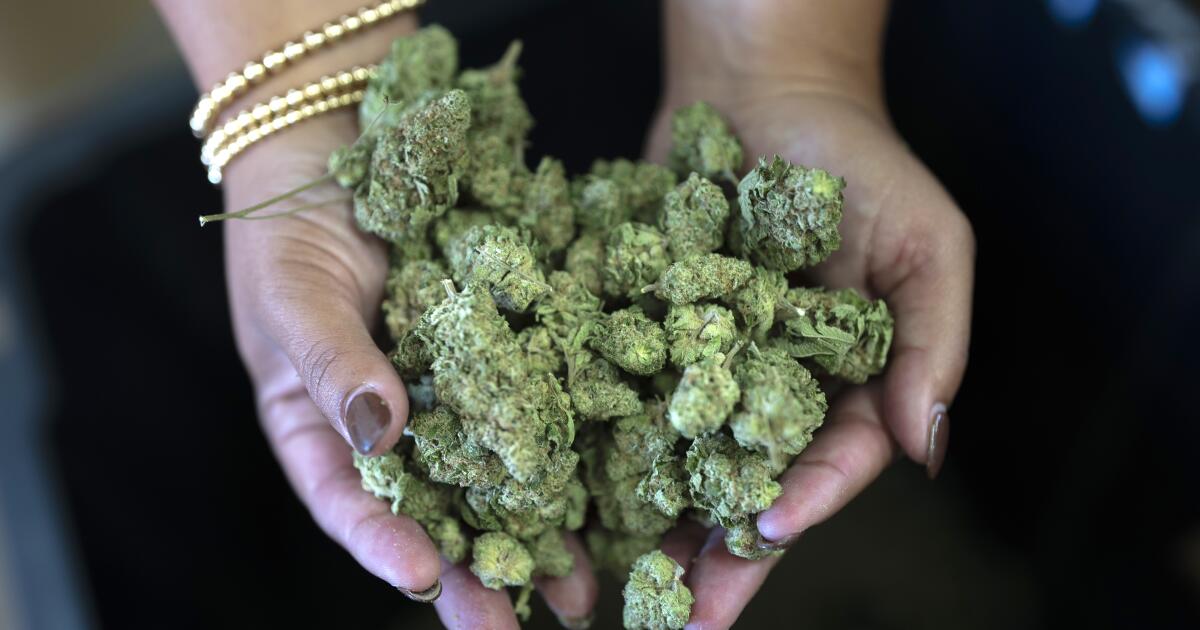 Loose cannabis is not open container in car, state Supreme Court rules