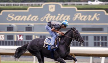 Santa Anita sues California DOJ over seizure of betting machines