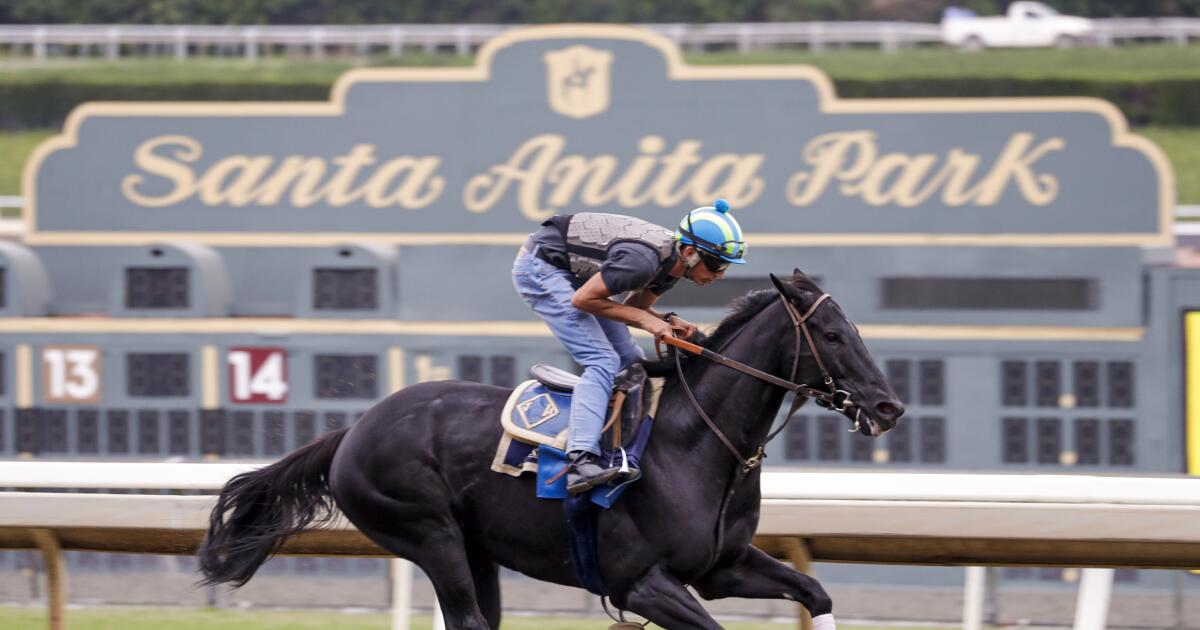 Santa Anita sues California DOJ over seizure of betting machines