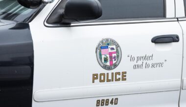 Mom, 19, arrested after toddler was abandoned during botched car theft in Highland Park, police say