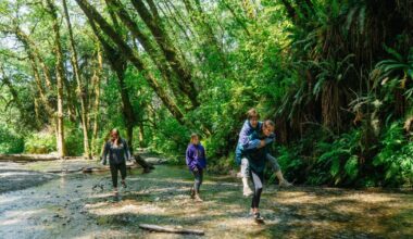 California's 10 most popular state campgrounds