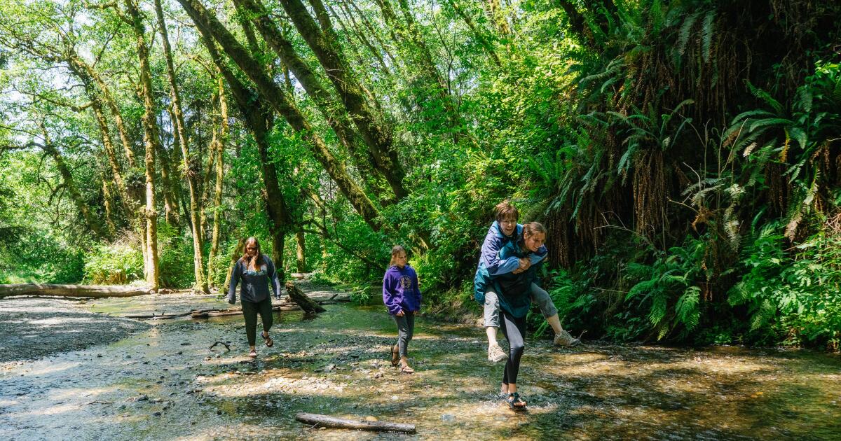 California's 10 most popular state campgrounds