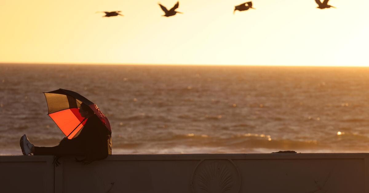 Temps near record highs this week across L.A., as Santa Anas continue