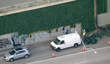 Fake ivy installed along U.S. 101 in downtown Los Angeles to deter graffiti