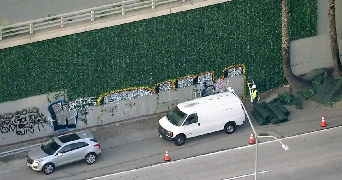 Fake ivy installed along U.S. 101 in downtown Los Angeles to deter graffiti