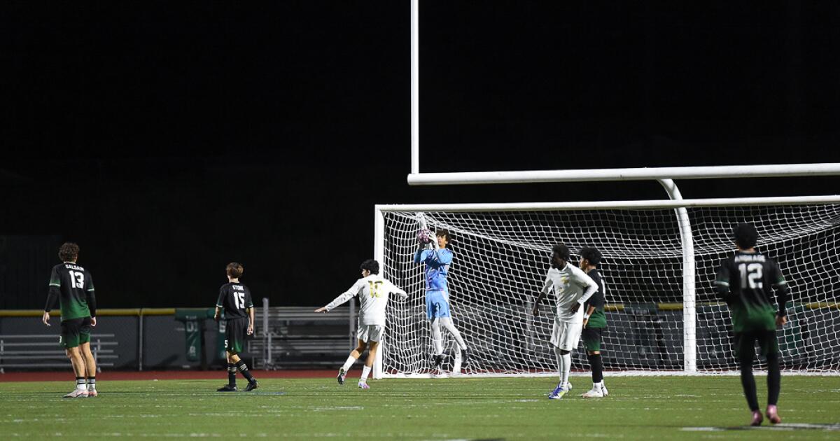 Oak Park boys' soccer team has recorded school-record 10 shutouts