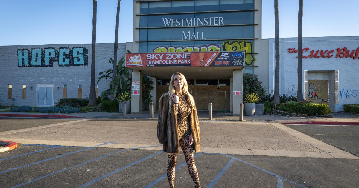 California's dead malls have become magnets for blight and vandalism