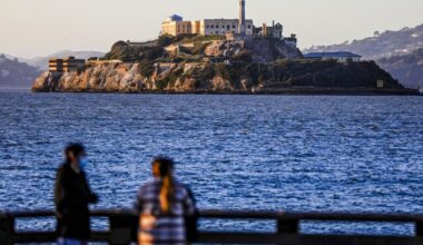 Coyote makes astonishing swim to Alcatraz — the start of a prison-island pack? We asked experts