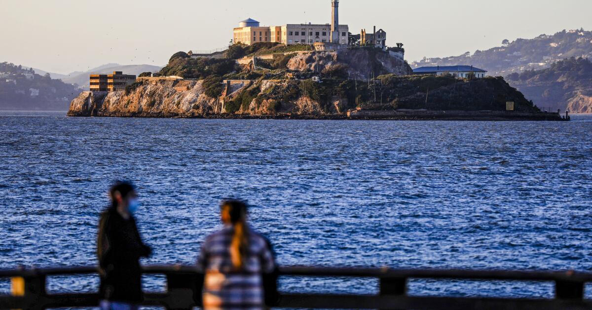Coyote makes astonishing swim to Alcatraz — the start of a prison-island pack? We asked experts