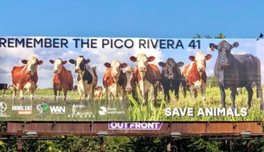 Pico Rivera aims to buy L.A. County's last slaughterhouse, reinvent it