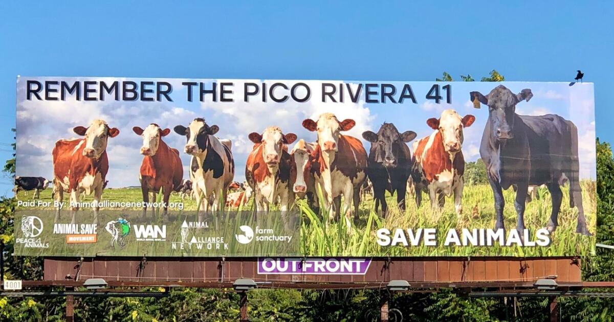 Pico Rivera aims to buy L.A. County's last slaughterhouse, reinvent it