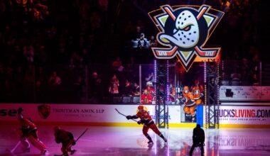 Ex-employee sues Ducks, NHL for sexual harassment and discrimination