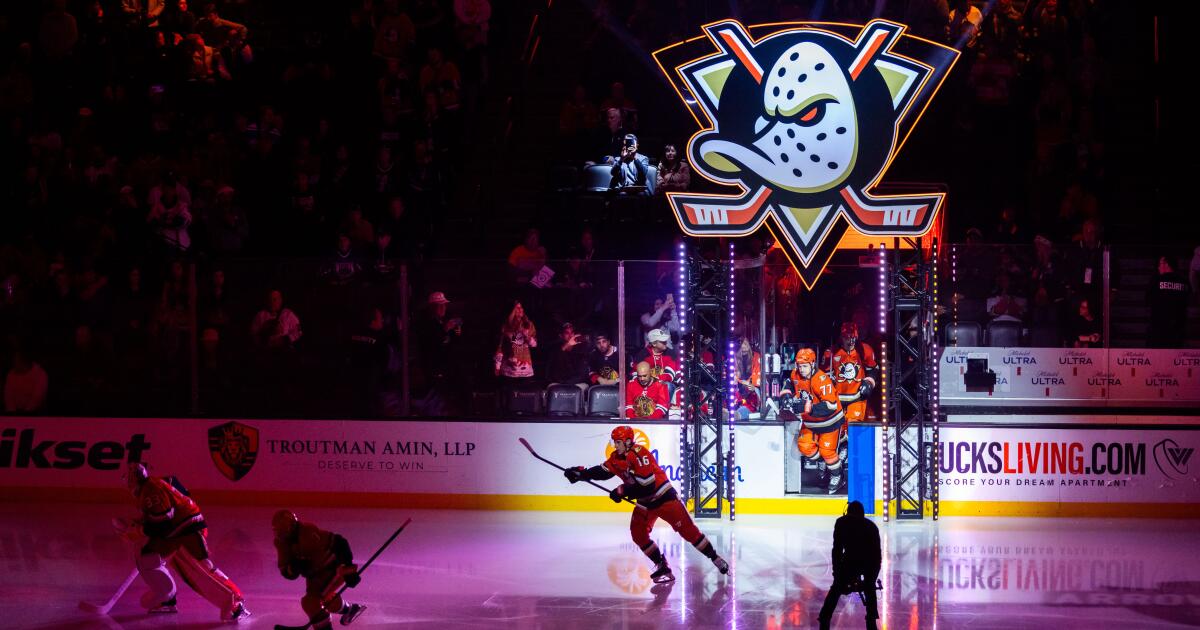 Ex-employee sues Ducks, NHL for sexual harassment and discrimination