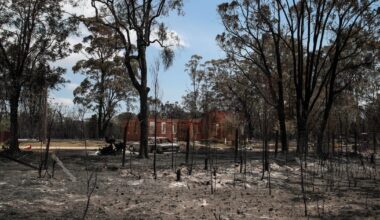 Millions at risk of Los Angeles-style wildfires in Australia