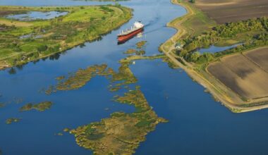 California's Delta is in poor ecological health, scientists say