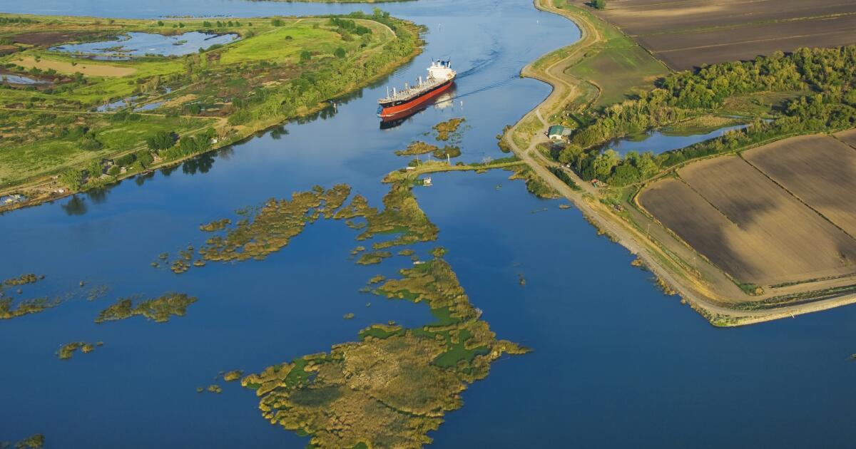 California's Delta is in poor ecological health, scientists say