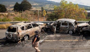 Returning migrants find Mexico transformed by drug cartels and violence