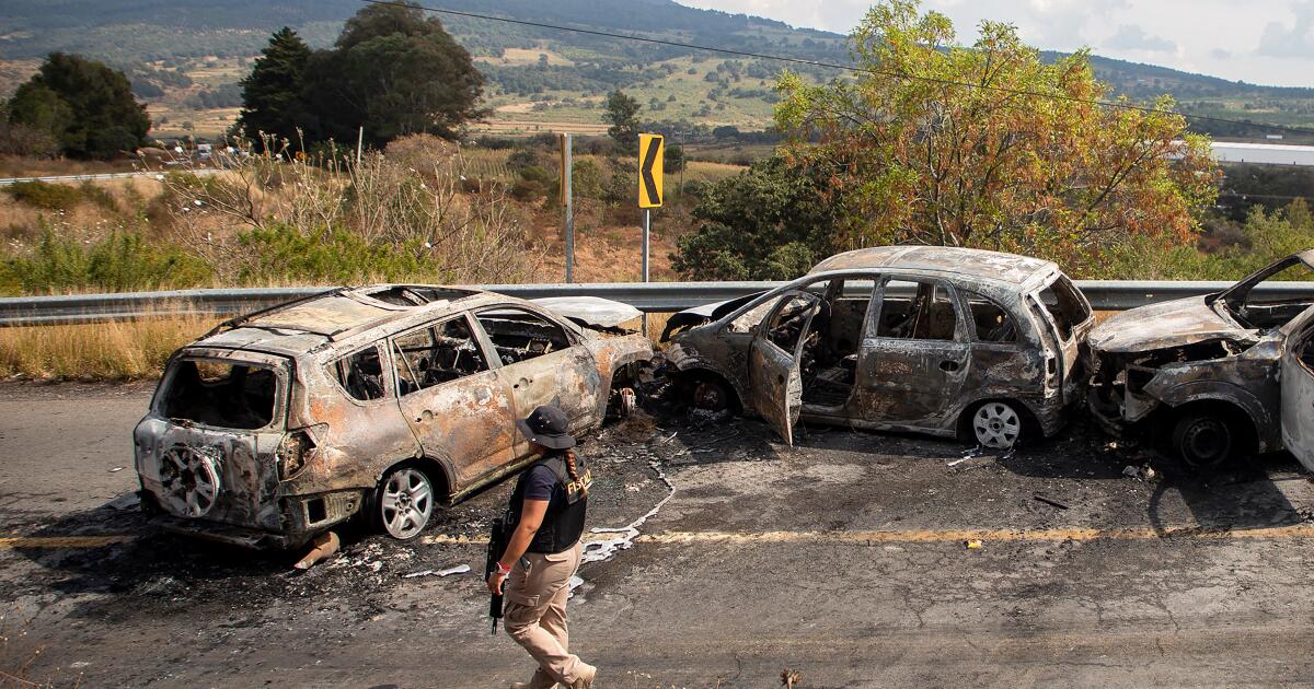 Returning migrants find Mexico transformed by drug cartels and violence