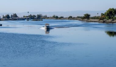 Debate intensifies over water for California's Delta