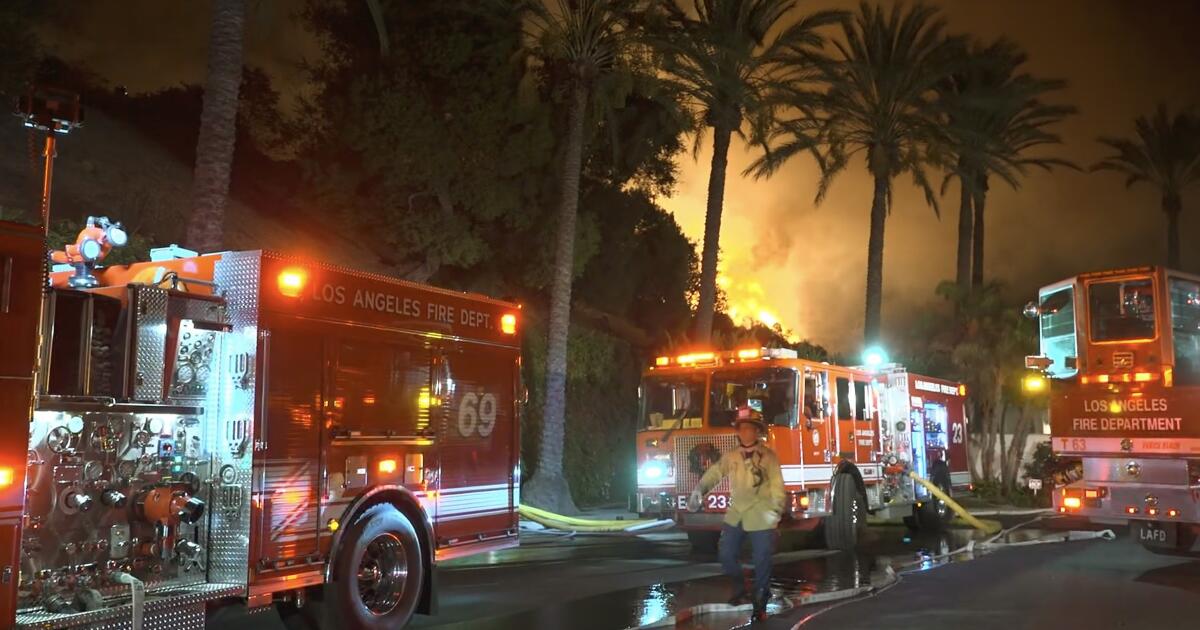 'It's a blanket of silence': Fire victims' attorneys accuse city of blocking Palisades fire transparency