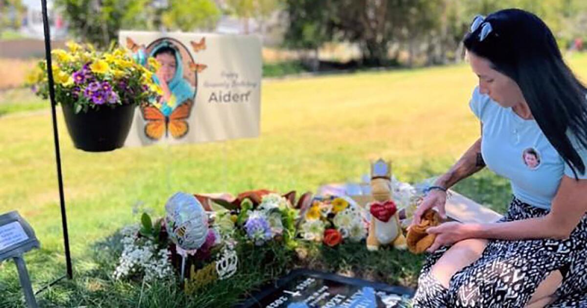 Father blames mother for son's death in road rage killing on OC freeway