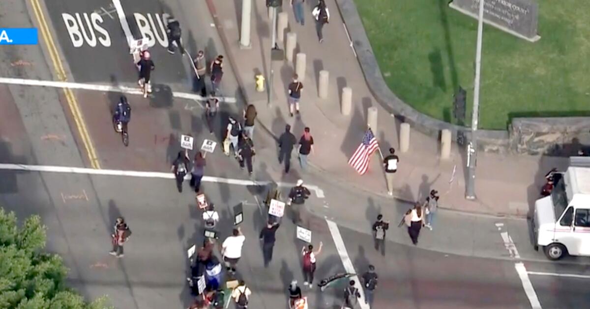 Anti-Trump protesters join 'Free America walkout' in downtown L.A.