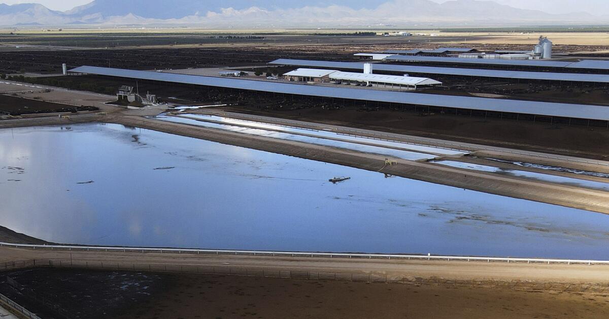 Giant Arizona farm agrees to use less water amid growing scarcity