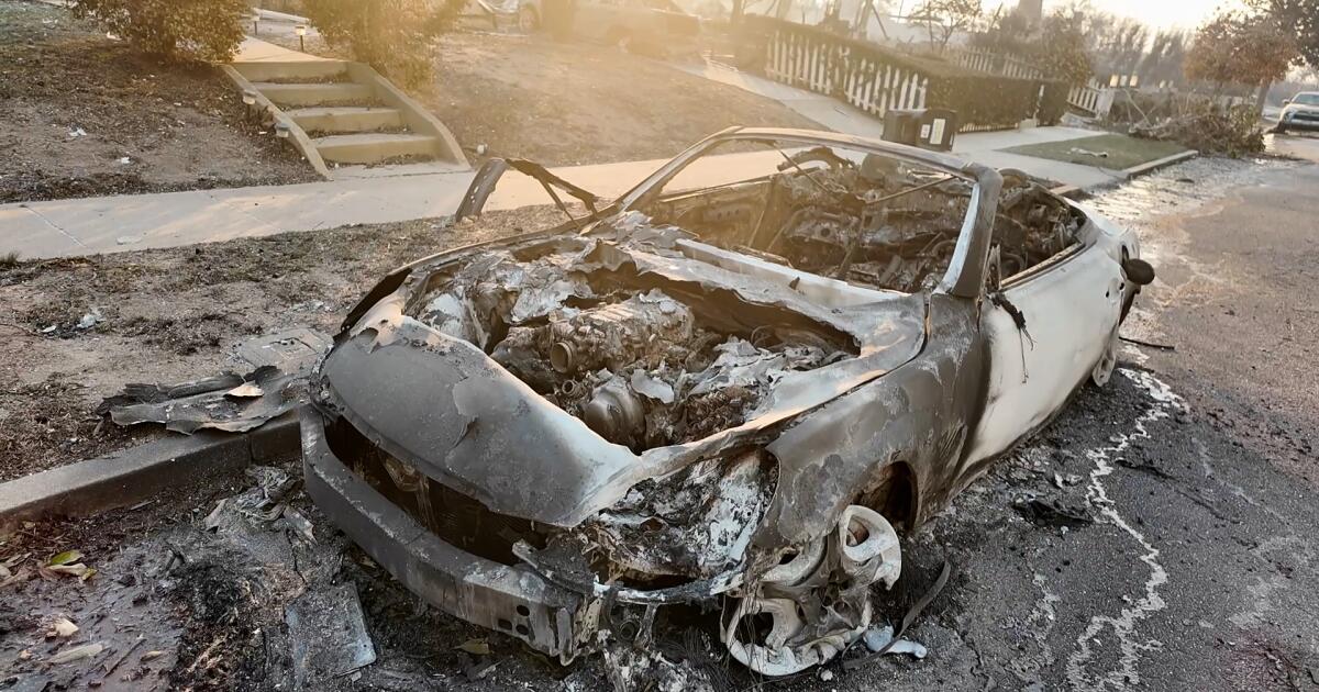 Los Angeles debates controversial 'Zone Zero' policy in the wake of the 2025 wildfires