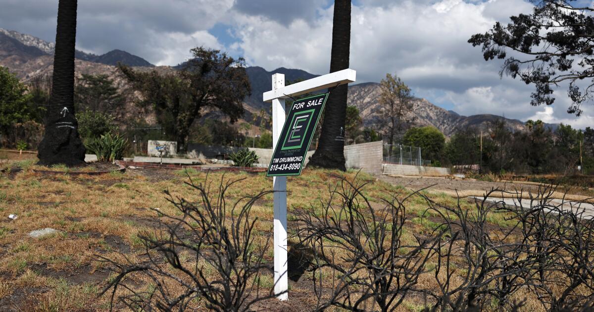 After L.A. wildfires, complaints about insurers prompt a flurry of bills