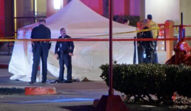 Man shot and killed by sheriff's deputies near Michael's store in West Hills