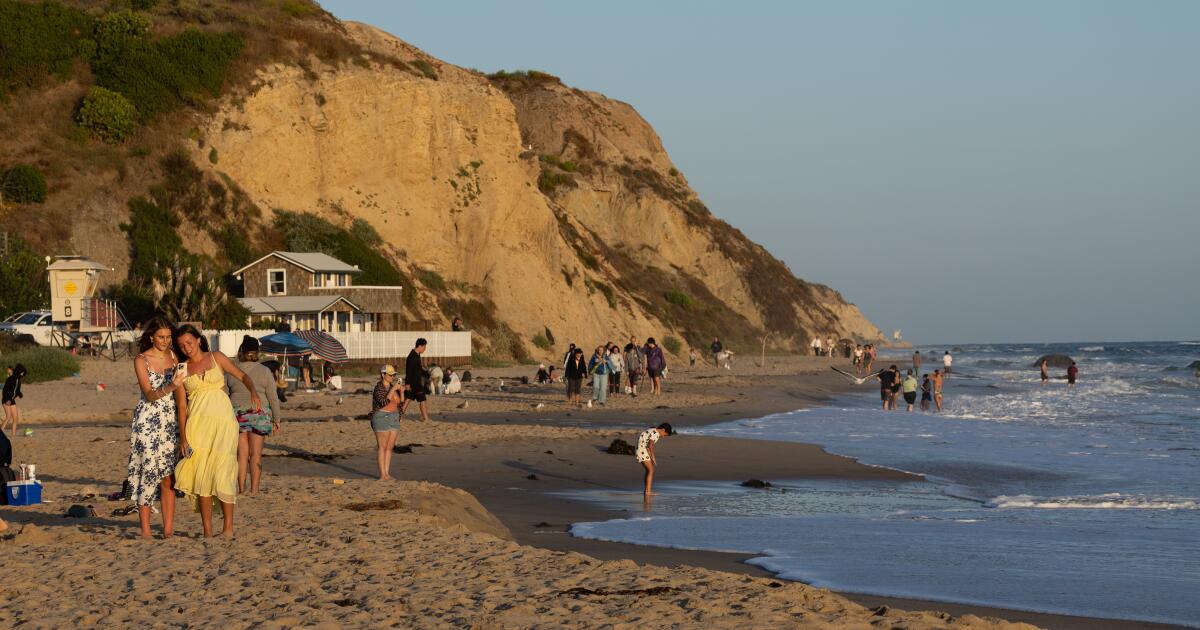 Another place where Newsom and Trump differ: Making MLK Day free to enter parks