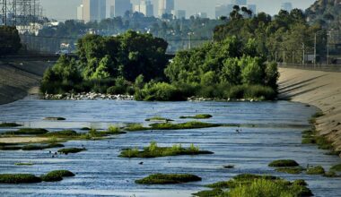 Contributor: L.A. is ripping up 1,600 acres of pavement — but is it too little, too late?