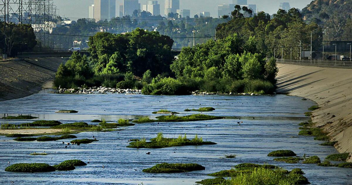 Contributor: L.A. is ripping up 1,600 acres of pavement — but is it too little, too late?