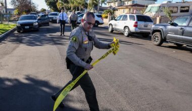 Who's responsible for steep homicide decline in California?