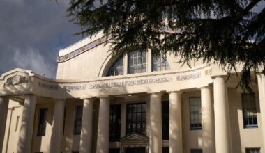 Peer-to-peer support program shows early gains in youth mental health