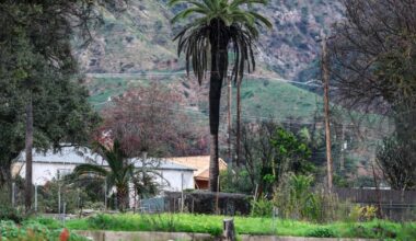 Failures of the past haunt L.A.'s fire recovery agenda for 2026