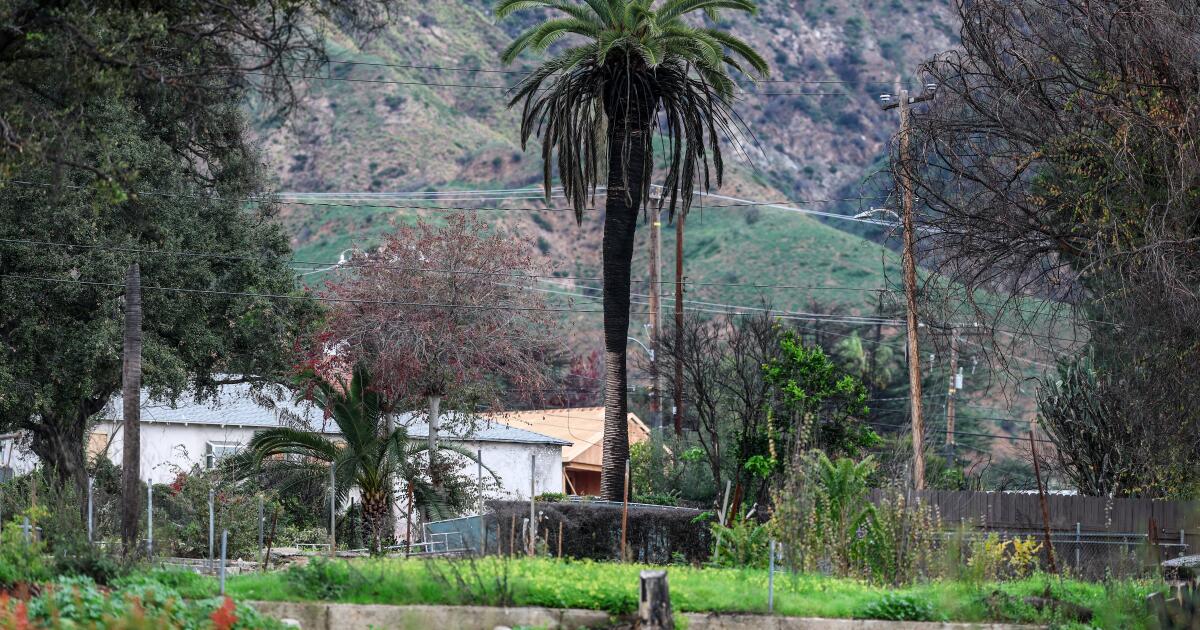 Failures of the past haunt L.A.'s fire recovery agenda for 2026