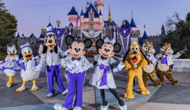 Disneyland Park attendance reaches 900 million over 70 years in business