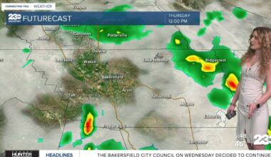 Dense fog and minor rain chances in Thursday's forecast