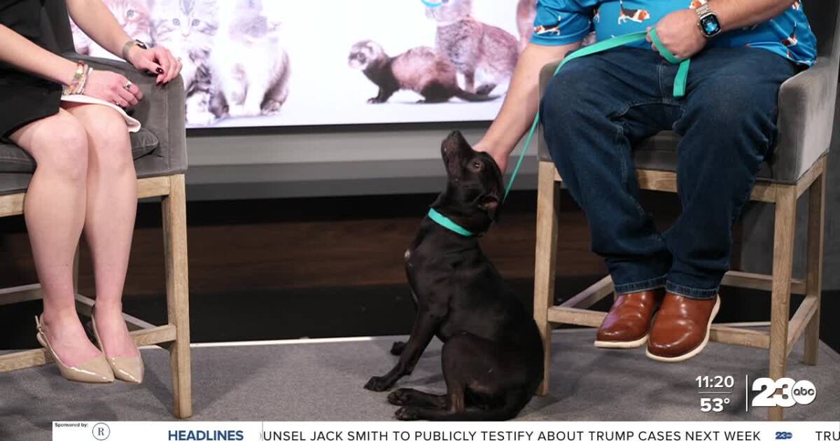 Wag Wednesday: Meet Cranberry!