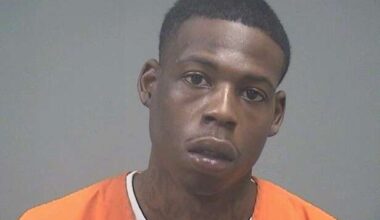 Youngstown man who led police on chase, search apprehended following Oakland Township hunt – Butler Eagle