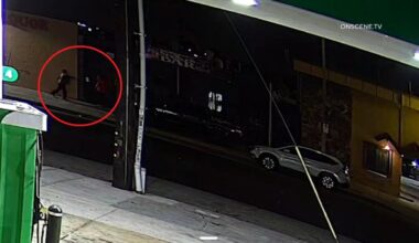 Surveillance camera captures deadly Vermont Vista shooting – NBC Los Angeles