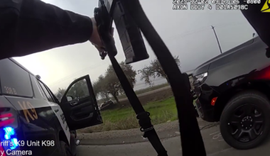 Video shows shooting that killed former Sacramento deputy after Elk Grove child stabbing